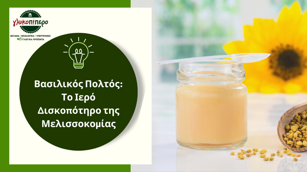 βασιλικος πολτος