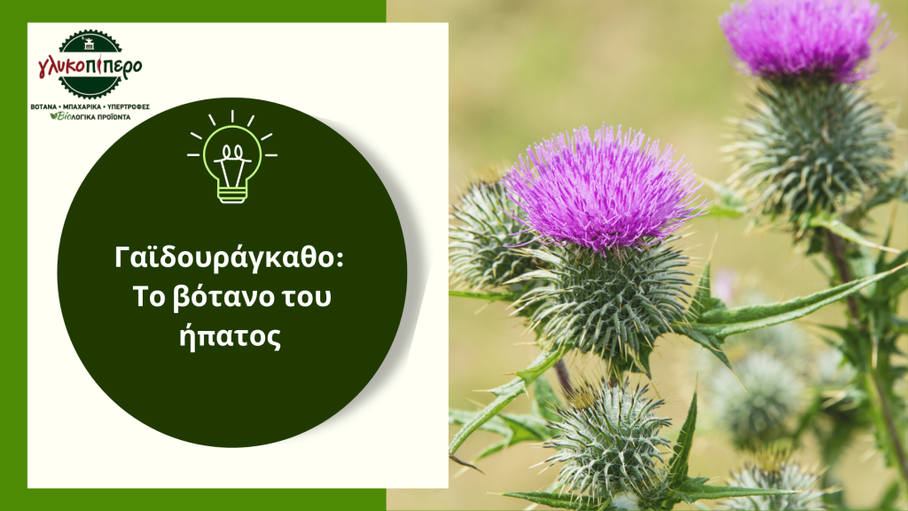 γαιδουραγγαθο